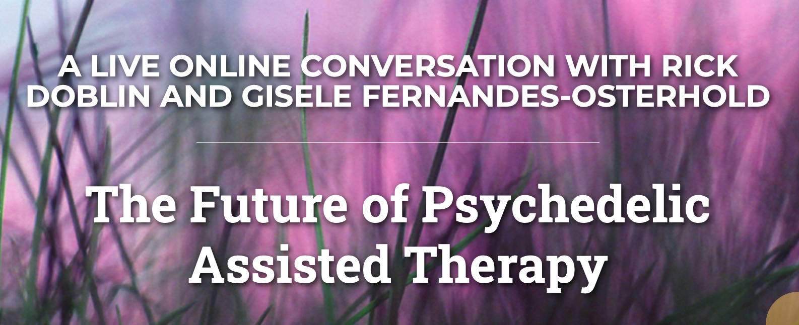 The Future of Psychedelic Assisted Therapy