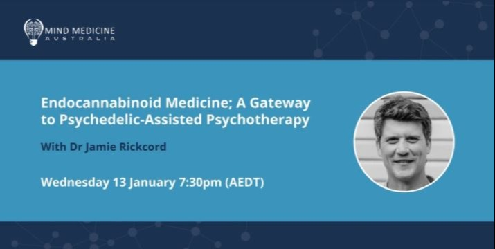 Endocannabinoid Medicine: A Gateway to Psychedelic-Assisted Psychotherapy