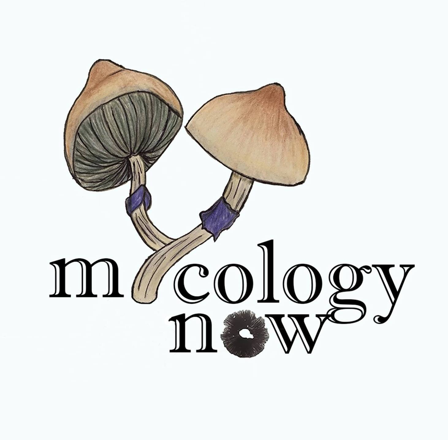 Mycology Now