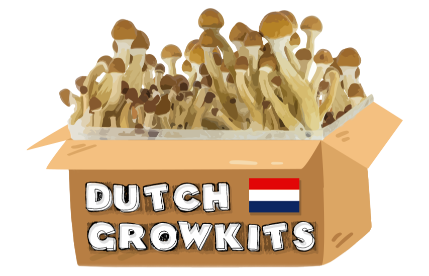 Dutch Growkits