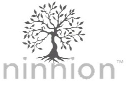Ninnion